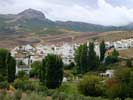 Serrato