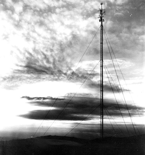 Imagen de la antena desde la que emitÃ­a RadioRonda, estaba colocada en los quejigales de la Sierra de las Nieves